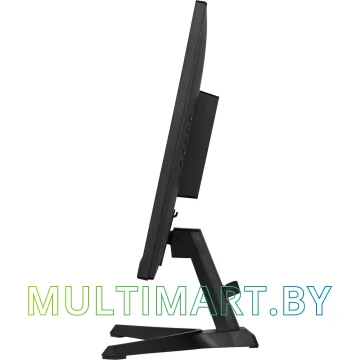 Игровой монитор Iiyama G-Master Red Eagle GB2470HSU-B6 картинка 7